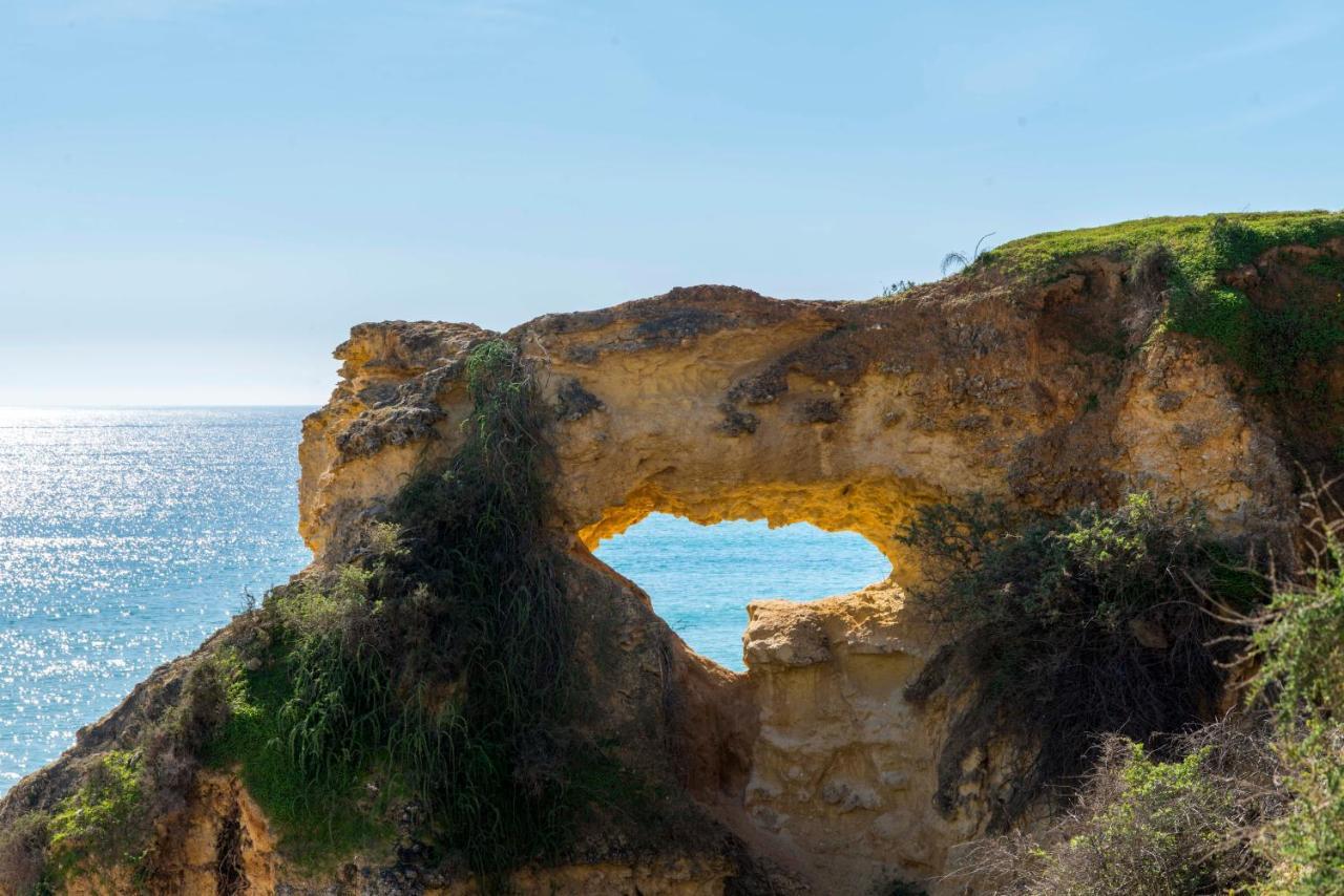 Casa Das Conchas Armação de Pêra 外观 照片